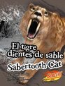 El tigre dientes de sable/Sabertooth Cat