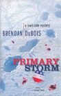 Primary Storm