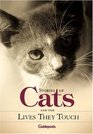 Stories About Cats and the Lives They Touch