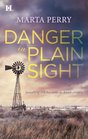 Danger in Plain Sight (Amish, Bk 4)