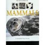 The Encyclopedia of Mammals a Complete Visual Guide