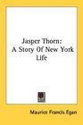 Jasper Thorn A Story Of New York Life