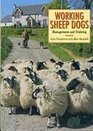 Working Sheepdogs Management and Training