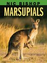 Nic Bishop Marsupials