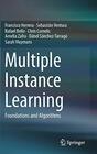 Multiple Instance Learning Foundations and Algorithms