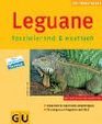 Leguane faszinierend  exotisch