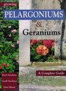 Growing Pelargoniums and Geraniums A Complete Guide