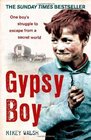 Gypsy Boy One Boy's Struggle to Escape from a Secret World