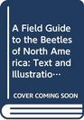 A Field Guide to the Beetles of North America Text and Illustrations
