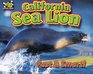 California Sea Lion Fast  Smart