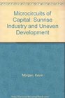 Microcircuits of Capital Sunrise Industry and Uneven Development
