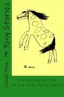 Pony Stories Anthology of The Black Pony Adventures