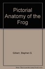 Pictorial Anatomy of the Frog