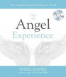 The Angel Experience Your Complete Angel Workshop in a Book
