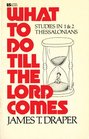What to Do Till the Lord Comes