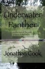 Underwater Panther
