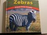 Zebras Striped GrassGrazers