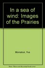 In a sea of wind Images of the Prairies