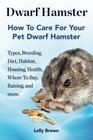 Dwarf Hamster Types Breeding Diet Habitat Housing Health Where To Buy Raising and more How To Care For Your Pet Dwarf Hamster