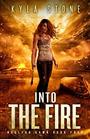Into the Fire: A Post-Apocalyptic Survival Thriller (Nuclear Dawn)