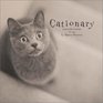 Cationary Meaningful Portraits of Cats