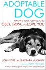 Adoptable Dog Teaching Your Adopted Pet to Obey Trust and Love You