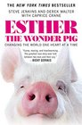 Esther the Wonder Pig Changing the World One Heart at a Time