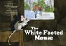 The WhiteFooted Mouse
