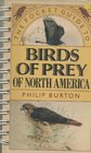 The Pocket Guide to Birds of Prey of North America
