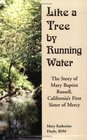 Like a Tree by Running Water The Story of Mary Baptist Russell California's First Sister of Mercy
