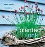 Planted Junk A New Approach to Container Gardening