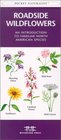 Roadside Wildflowers: An Introduction to Familiar North American Species