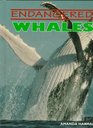 Whales