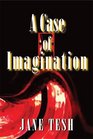 A Case of Imagination (Madeline Macklin, Bk 1)