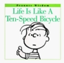 Life Is Like a TenSpeed Bicycle