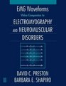 Electromyography and Neuromuscular Disorders  ClinicalElectrophysiologic Correlations with VHS companion