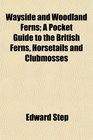 Wayside and Woodland Ferns A Pocket Guide to the British Ferns Horsetails and Clubmosses