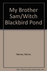 The witch of Blackbird Pond  Elizabeth George Speare  My brother Sam is dead  James Lincoln Collier and Christopher Collier  curriculum unit