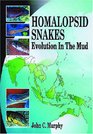 Homalopsid Snakes Evolution in the Mud