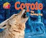 Coyote The Barking Dog