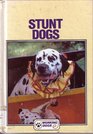 Stunt Dogs
