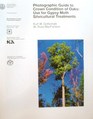 Photographic guide to crown condition of oaks use for gypsy moth silviculture