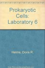Prokaryotic Cells Separate from Biology in the Laboratory 3e