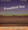 Troubled Sea