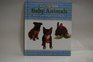 Baby Animals A Very First Picture Book