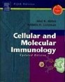 Cellular and Molecular Immunology Updated Edition Book  Student Consult  Evolve