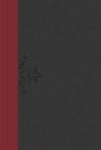 The Lucado Life Lessons Study Bible, NKJV: Inspirational Applications for Living Your Faith