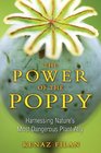 The Power of the Poppy Harnessing Natures Most Dangerous Plant Ally