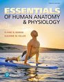Essentials of Human Anatomy  Physiology Plus MasteringAP with Pearson eText  Access Card Package