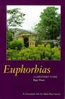 Euphorbias A Gardener's Guide